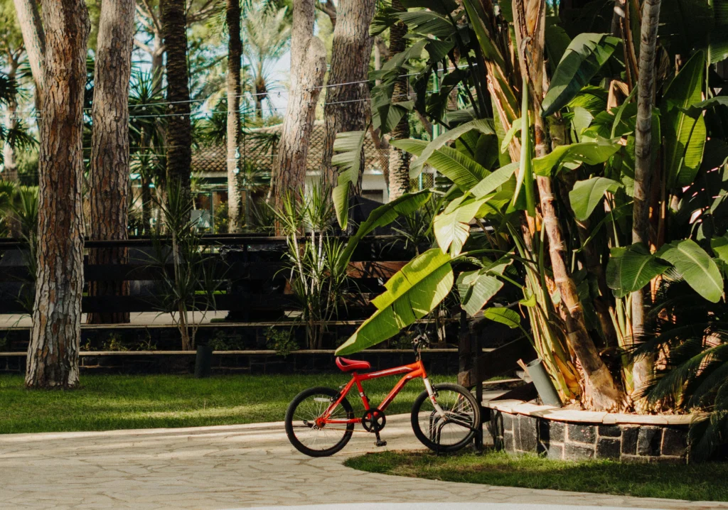 holistic wellness biking