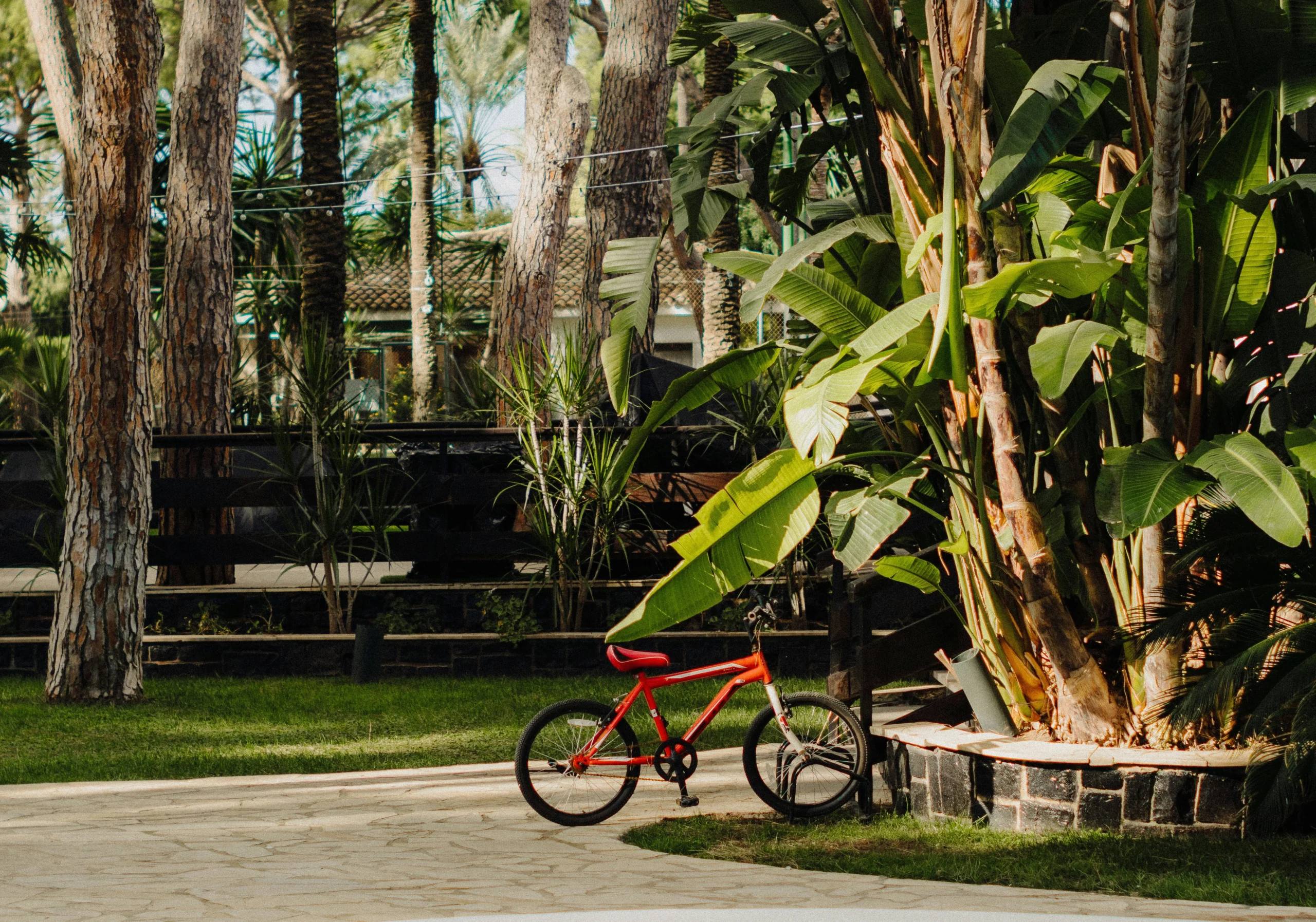 holistic wellness biking